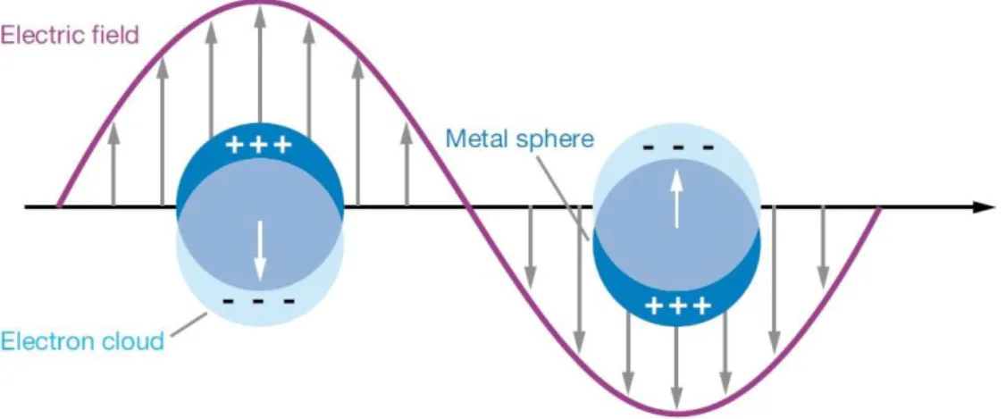 Figure 1.9. Schematic of localized surface plasmon resonance at the metallic nanoparticles [98]
