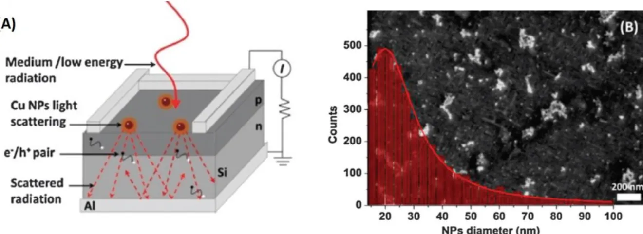 Figure 1.14. Schematic illustrating the light scattering in a Si solar cell due to the Cu nanoparticles at  the surface (A)