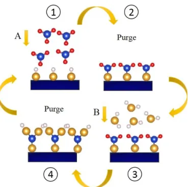 Figure 2.1. Schematic of an ALD four-step process: (1) exposure to the first precursor A, (2) purge  step, (3) exposure to the second precursors B, and (4) final purge step