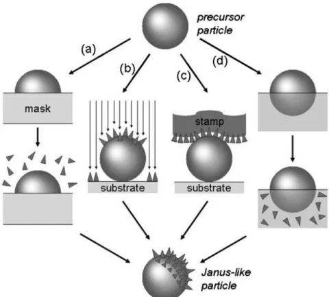 Fig I.10 : Représentation schématique des quatre stratégies permettant de modifier de façon contrôlée la  surface des particules : (a) techniques de masquage / démasquage, (b) techniques utilisant des flux ou des  champs directionnels réactifs, (c) des tec