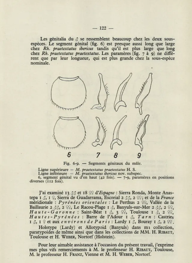 Fig.  6-9.  —  Segments  génitaux  du  mâle. 