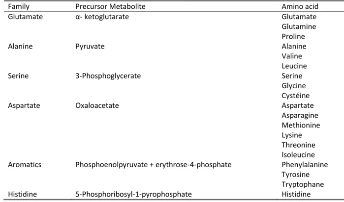 Table 1-2: Precursor Metabolites for the synthesis of amino acids grouped by family 
