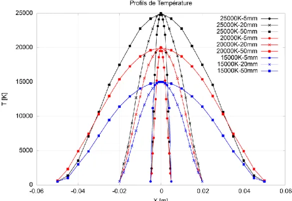 Figure II-1 : Profils de températures utilisés pour la résolution de l’ETR. 