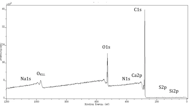 Figure II-17 Exemple de spectre de survol du composite PEEK après nettoyage et identification des pics  associés