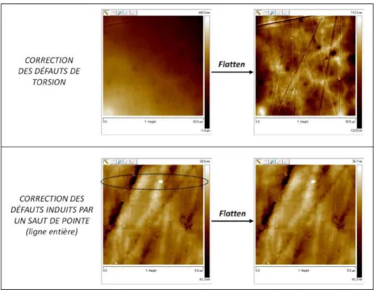 Figure II-20 Exemple d’images AFM avant et après traitement numérique par le filtre flatten