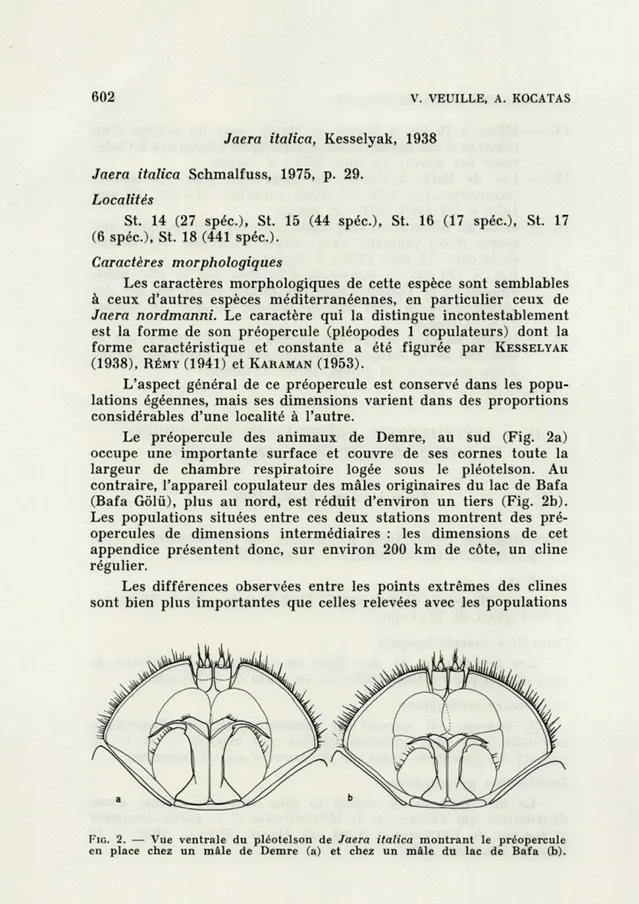 FIG.   2.  —  Vue  ventrale  du  pléotelson  de  Jaera  italica  montrant  le  préopercule  en  place  chez  un  mâle  de  Demre  (a)  et  chez  un  mâle  du  lac  de  Bafa  (b)