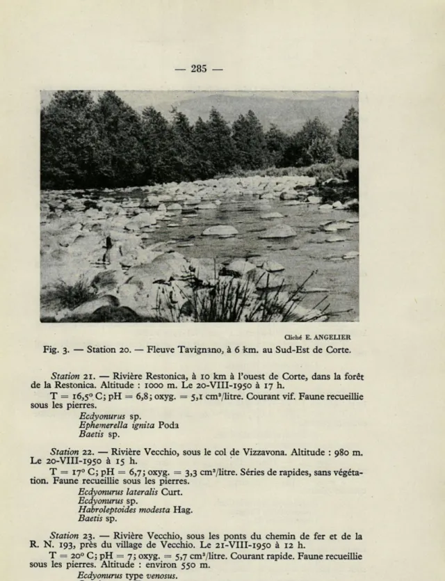 Fig.  3.  —  Station  20.  —  Fleuve  Tavignano,  à  6  km.  au  Sud-Est  de  Corte. 
