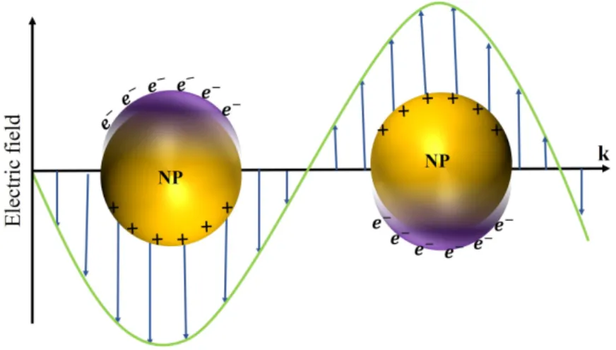 Figure 1.5 – Schematic representation of the displacement of the conduction electrons from the ionic core of a spherical NP in response to an applied external electromagnetic field.