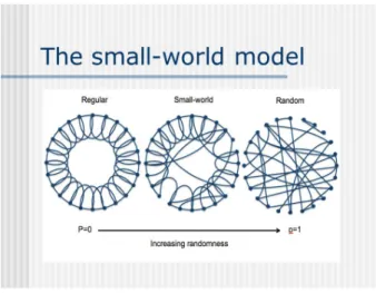 Figure 2.11 : Le réseau du petit monde