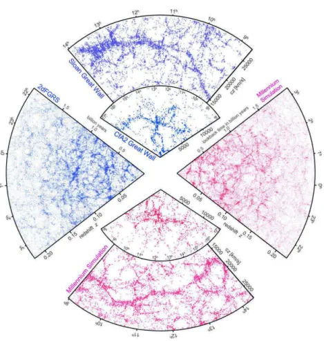 Figure 1.8 – Comparaison entre les structures à grandes échelles observées par le SDSS (en bleu) et celles reproduite dans la simulation Millennium (Springel et al., 2005) (en rouge).