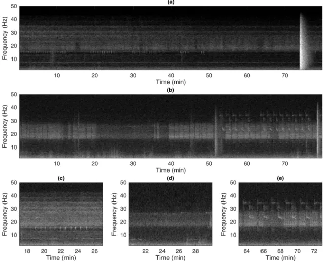 FIG. 2. Soundscape examples (a), (b) and zoomed sections (c)–(e). Records by the station RR47 on May 28th, 2013 represented as gray-scaled spectrograms.