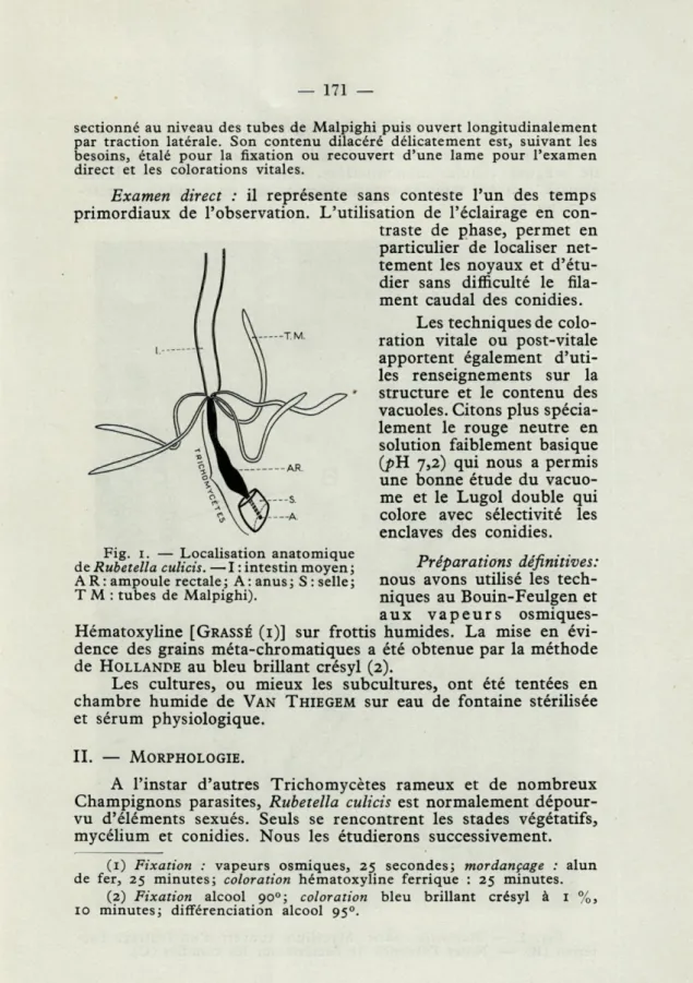 Fig.  1.  —  Localisation  anatomique n •  ■.■ 