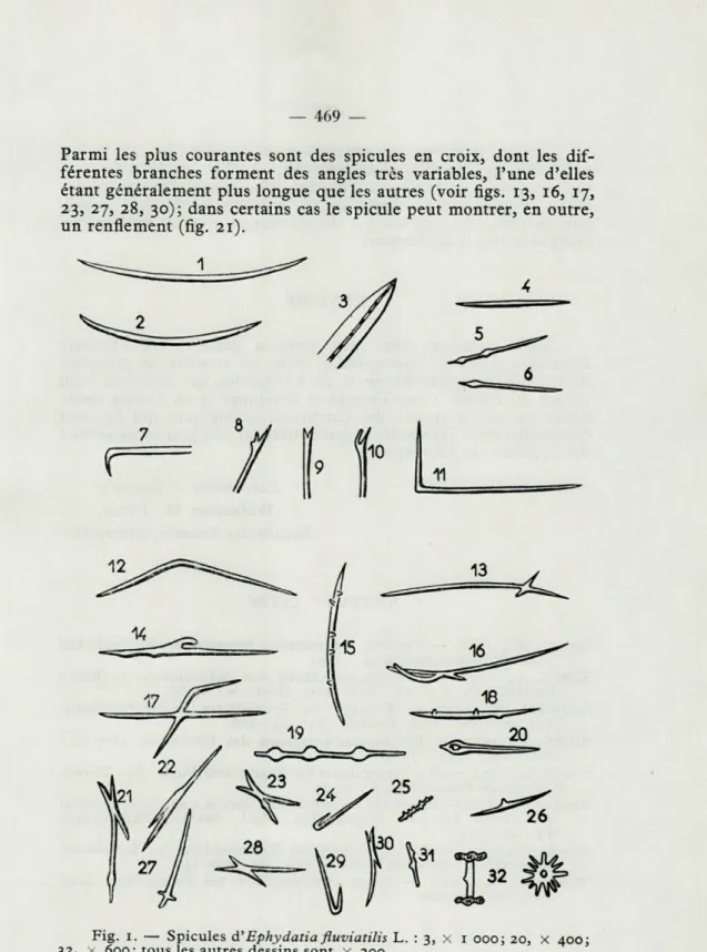 Fig.  1.  —  Spicules  d'Ephydatia fluviatilis  L.  :  3,  x  1  000;  20,  X  400; 