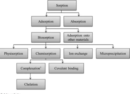 Fig. 3. Schematic explanation of metal biosorption mechanisms (Redrawn after [117]).