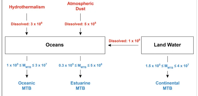 Fig. 4. Model indicating the main inputs of dissolved iron to the oceans (in red, data from ref