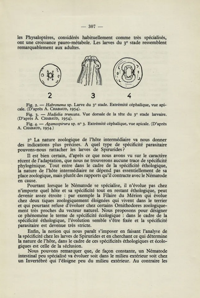 Fig.   2.   —   Habronema  sp.  Larve  du  3 e   stade.  Extrémité  céphalique,  vue  api- api-cale