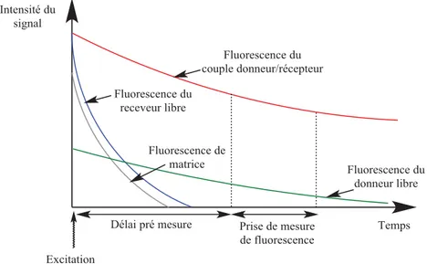 Figure 29 : L’émission d’énergie à partir d’une source d’excitation (lampe, LASER) est suivie d’un délai prévu pour prendre  en compte la décroissance des émissions de fluorescence à courte durée de vie