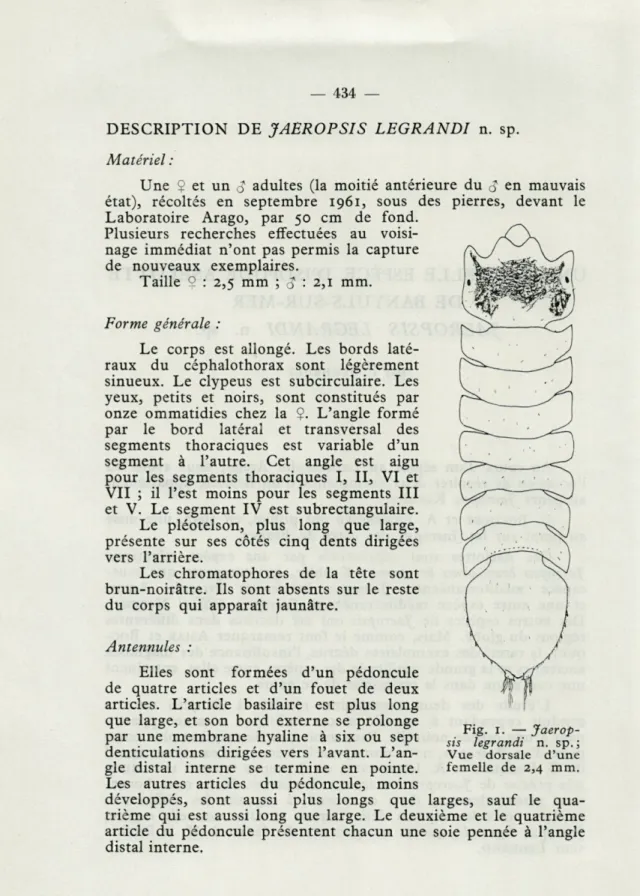 Fig.  1.   —   Jaerop- Jaerop-sis  legrandi  n.  sp.; 