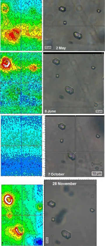 Figure 5. Raman maps of pre-fragmented inclusions (see the micro-fissures), taken at  different times along a six months period under permanent tension