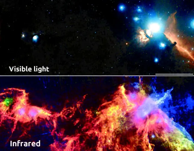 Figure 1.6: Visible light and infrared view of a part of the Orion star forming complex
