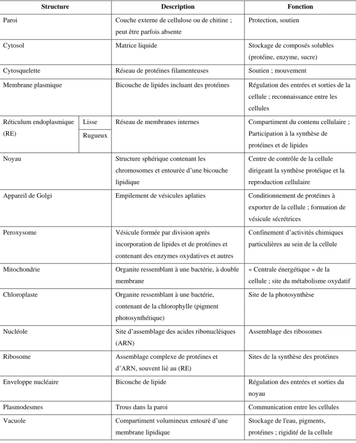 Tableau 1 - 2. Description et fonction des compartiments cellulaires présentés dans la Figure 1 - 1 (Raven et al., 2010) 