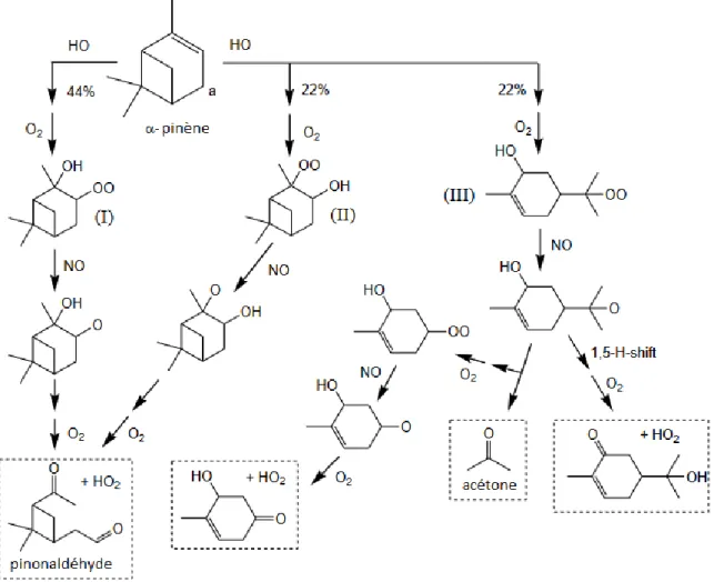 Figure 1 - 8. Schéma réactionnel simplifiée de la photo-oxydation de l'α-pinène initiée par le radical OH en présence  de NO x  (IUPAC, 2019) 