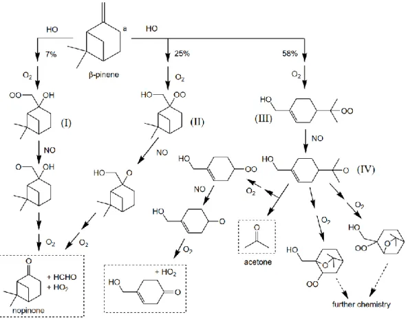 Figure  1  -  9.  Schéma  simplifié  de  la  photo-oxydation  du  β-pinène  initiée  par  le  radical  OH  en  présence  de  NO x