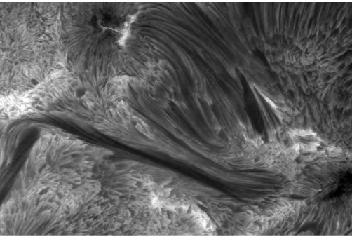 Fig. 4.9: Image d’un filament (diff´erent de celui des images VAULT) observ´e `a 430,5 nm au Solar Swedish Telescope.