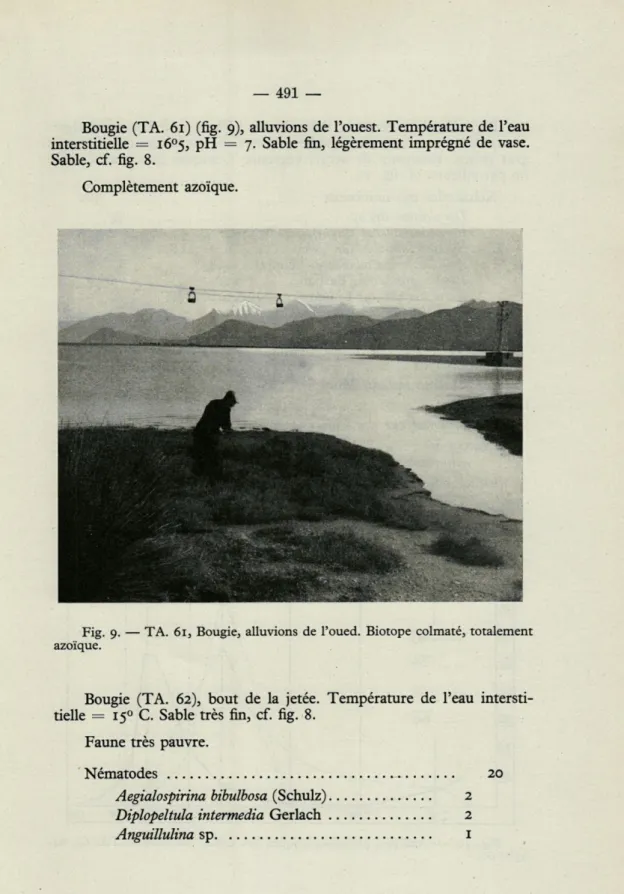 Fig.  9.  —  TA.  61,  Bougie,  alluvions  de  l'oued.  Biotope  colmaté,  totalement  azoïque