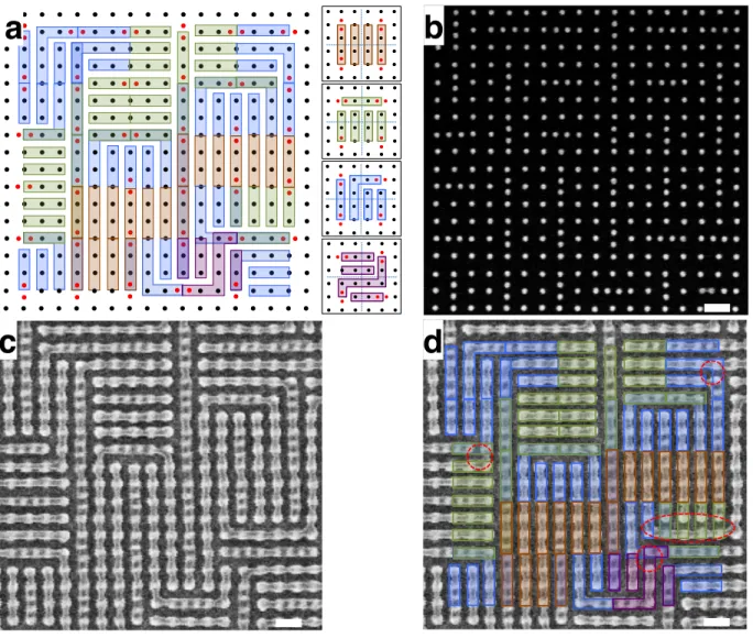 Figure 3:  Prediction  of  the  PDMS  patterns  directed  by  a  random  template.  a,  Random  template and the predicted patterns