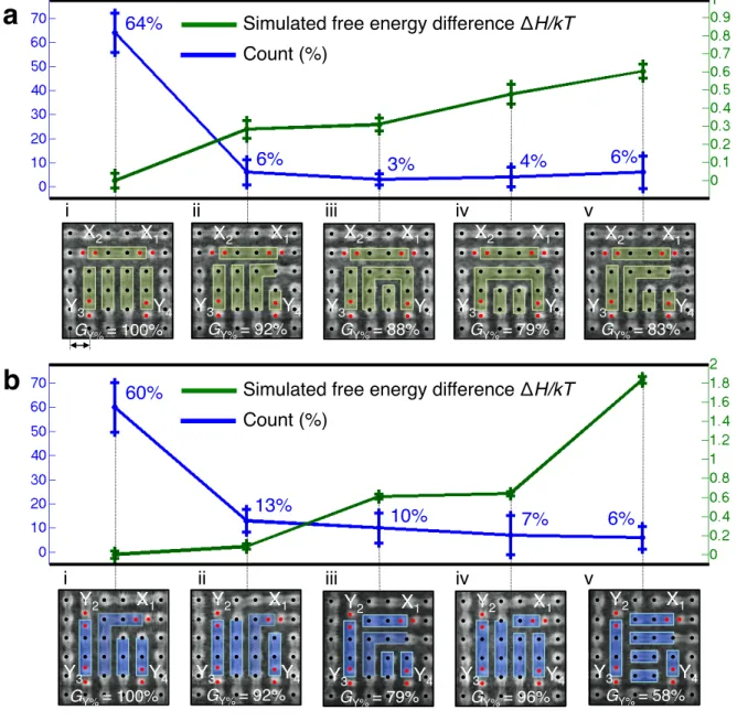 Figure 5:  Counts and simulated free energy differences of two arrangements. a-b, Panel i  shows  the  SEM  image  of  the  PDMS  pattern  identical  to  the  predicted  pattern  of  a,  X 2 Y 2 arrangement and b, XY 3  arrangement