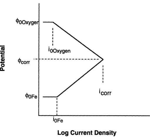 Figure 2.5.  Polarization diagram for the oxidation of iron in oxygenated water.