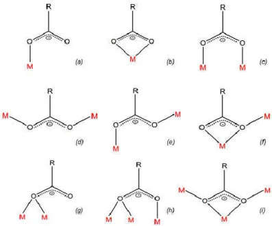 Figure I-6: Modes de coordination adoptés par les groupements carboxylates 