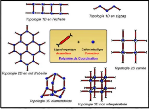 Figure I-8: Représentation schématique de différentes topologies de polymères de coordination formés d'ions  métalliques et de ligands organiques.