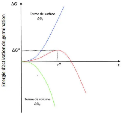 Figure I-20: Energie libre d'activation de nucléation homogène en fonction du rayon du germe (r) 