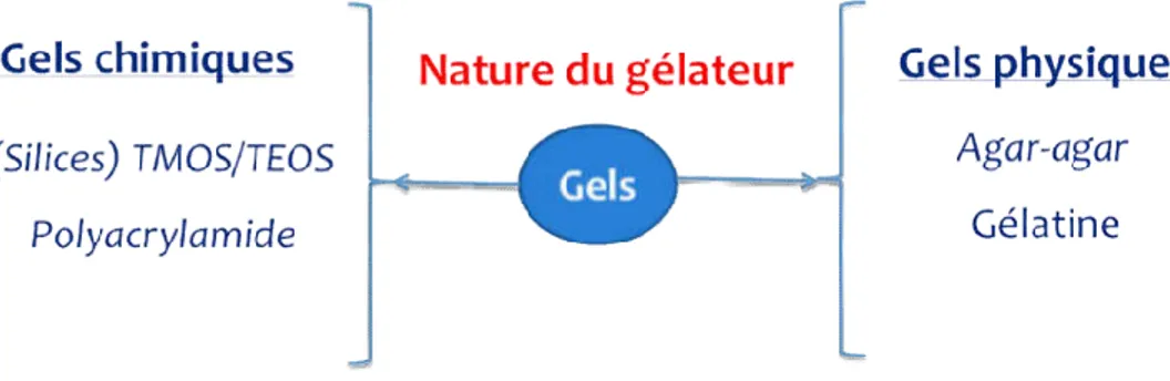 Figure I-27: Gels repartis en fonction de la nature des forces d’interaction 