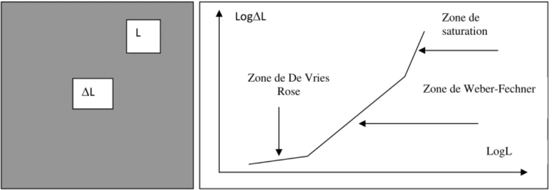 Figure 1.17 – Exp´erience de Weber-Fechner et trac´e de la loi de variation du seuil de perception.