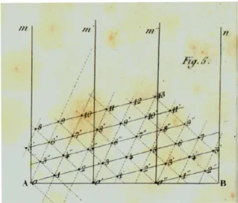 Fig. I.12: Treillis cylindrique de la phyllotaxie ? . Bravais et Bravais (1837a) pro- pro-posent de repr´ esenter la position des feuilles comme un treillis cylindrique pour ´ etudier leur agencement