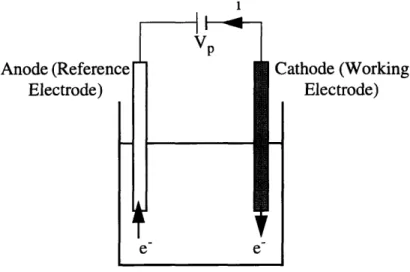Figure 2.1:  Polarographic  oxygen  measurement  schematic