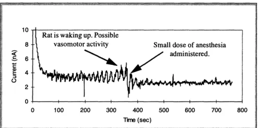Figure 4.9:  Graph  showing temporal  response  of rat pO 0 2 to low  anesthesia levels