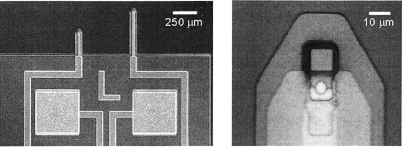 Figure  3-2:  Optical  Micrograph  of  Original  SPP  devices.  Active  area  is  square  region  on  tip  at right