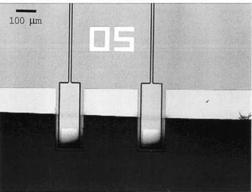 Figure  3-8:  Optical  micrograph  of overetched  structure.  Transparent  film  is  silicon  dioxide.