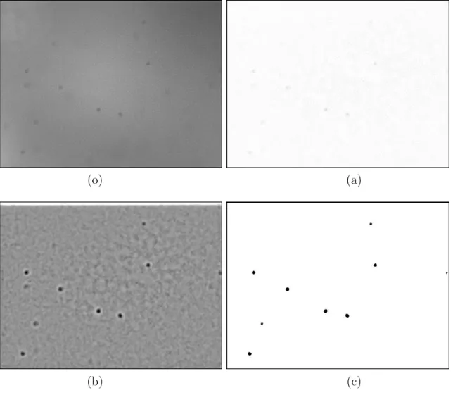 Figure 2.11: Etapes de prétraitement d’une image d’un gel de carbopol à 0,3 % ensem- ensem-mencé avec des micro particules : (o) image originale, (a) après Substract Background, (b) après Bandpass Filter, (c) après Make Binary.
