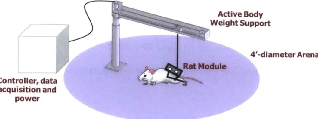 Fig.  3-6.  Current  concept  of the  system,  consisting  of the  Rat  Module,  BWSS,  and  an  external computer  for control,  DAQ  and power