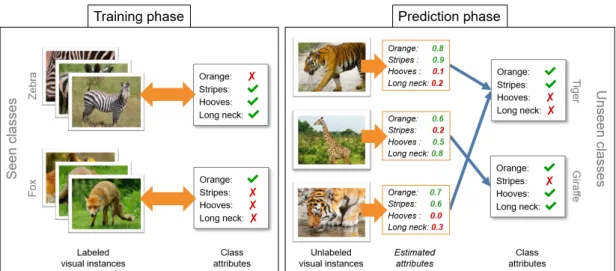 Figure 1.2 – Illustration of a simple zero-shot learning (ZSL) model. In the training phase, the model learns the relationship between visual instances and class attributes