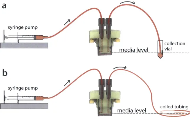 Figure  2-6:  Schematic  of  entire  apical  flow  systei.  Two  possible  setups  that  iniinize  hydrostatic pressure  on  the  cell  layer  are  shown:  (a)  Outlet  goes  into  a  collection  vial