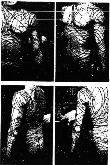 Figure 4. Iberall's  lines of non-extension  for the upper body.