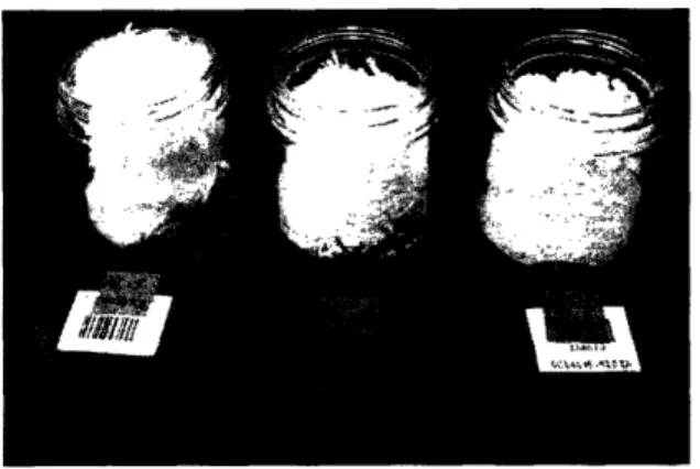 Figure  4-2:  Fluffy  bbp  candidate  block  copolymers  as  precipitated.
