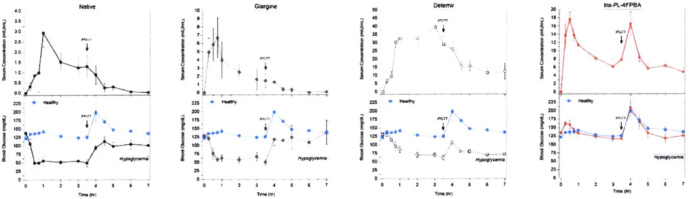 Figure  2.  8  In  vivo bloavailability study.  The  experiment  involved  measuring  pharmacokinetic  serum insulin  concentrations  and  pharmacodynamic  blood  glucose  response  of clinical  insulin samples  and  the lead GRI candidate,  lns-PL-4FPBA, 