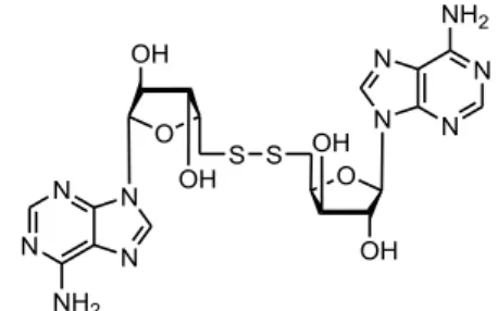Figure 9 : Le 9-(5’-déoxy-5’-thio-β-D-xylofuranosyl)adénine disulfure 